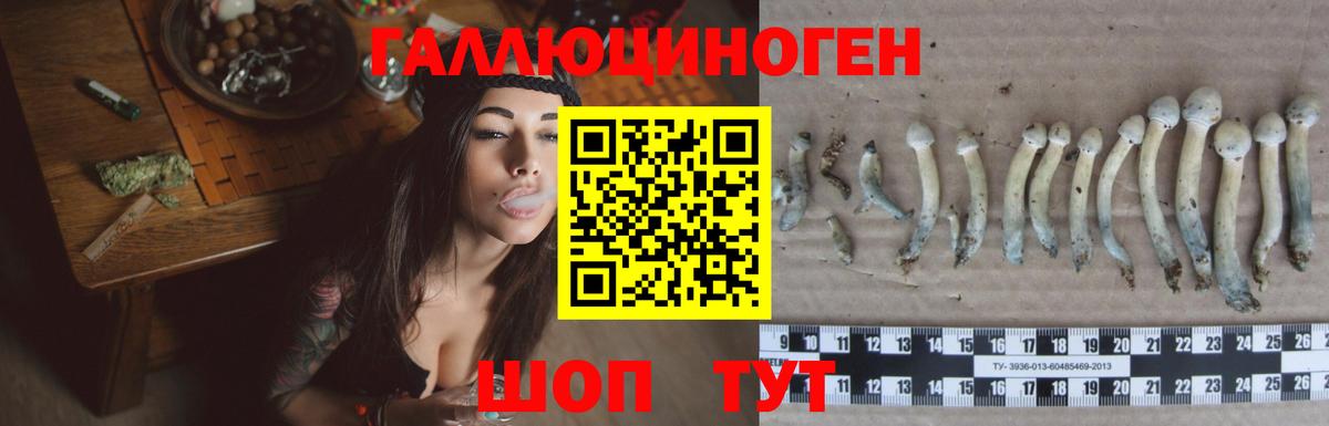 Галлюциногенные грибы мухоморы Сердобск